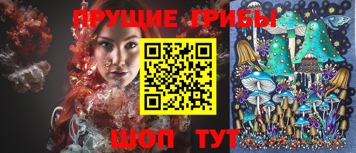 Псилоцибиновые грибы MAGIC MUSHROOMS Вязьма